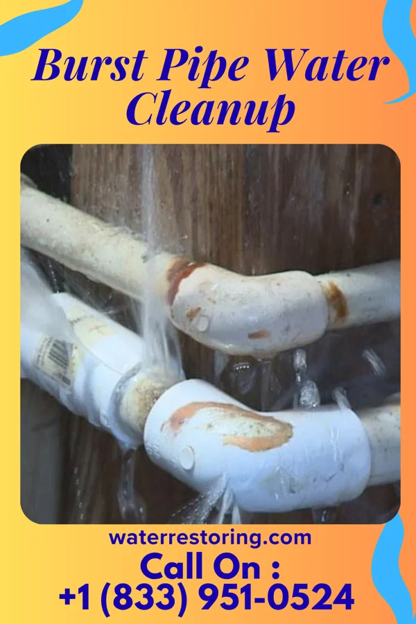 Burst Pipe Water Cleanup in Oak Hill, TN