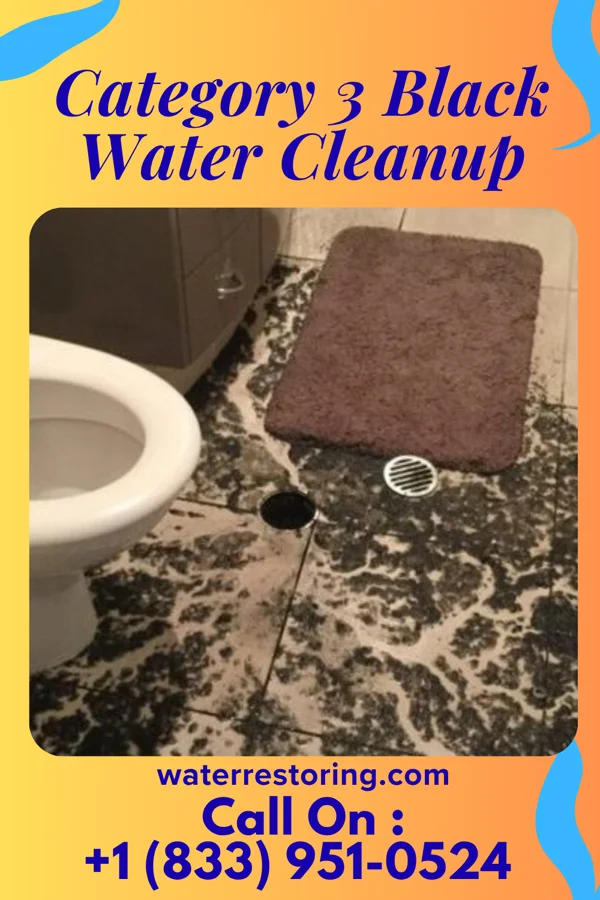 Category 3 Black Water Cleanup in Oak Hill, TN